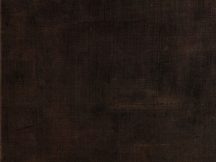 MUNKALAP CHT PENELOPE FA33 4200x600x38mm