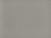   MUNKALAP EGGER F502 ST7 FINELY BRUSHED ALUMINIUM 4100x600x38mm